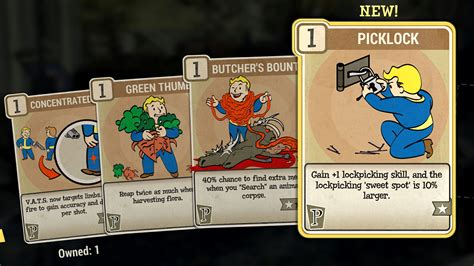 fallout 76 perk pack|perk card farming fallout 76.